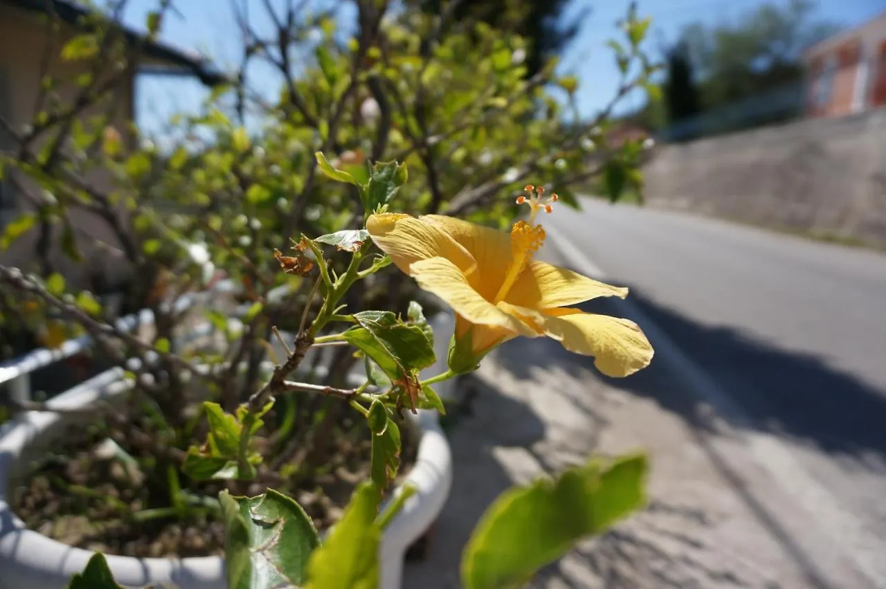 Apartament Kefalonia Sea View Cottage Ano Valtai Grecja