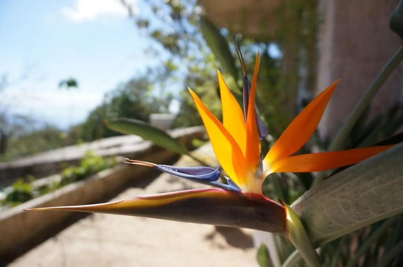 Kefalonia Sea View Cottage Ano Valtai